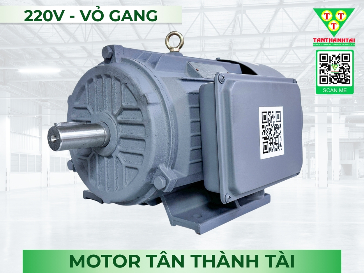 Motor điện 4kW - 5.5HP