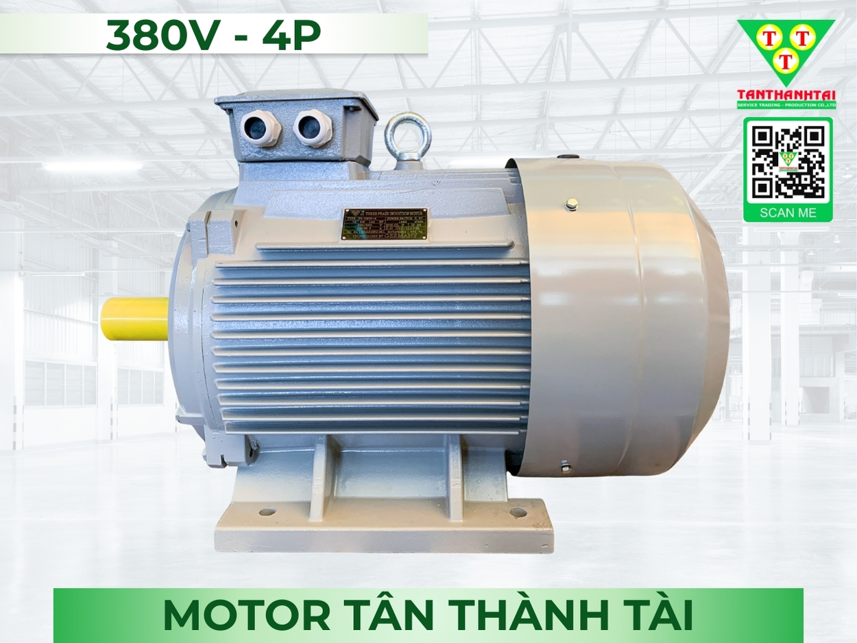 Motor điện 75kW - 100HP (4P)