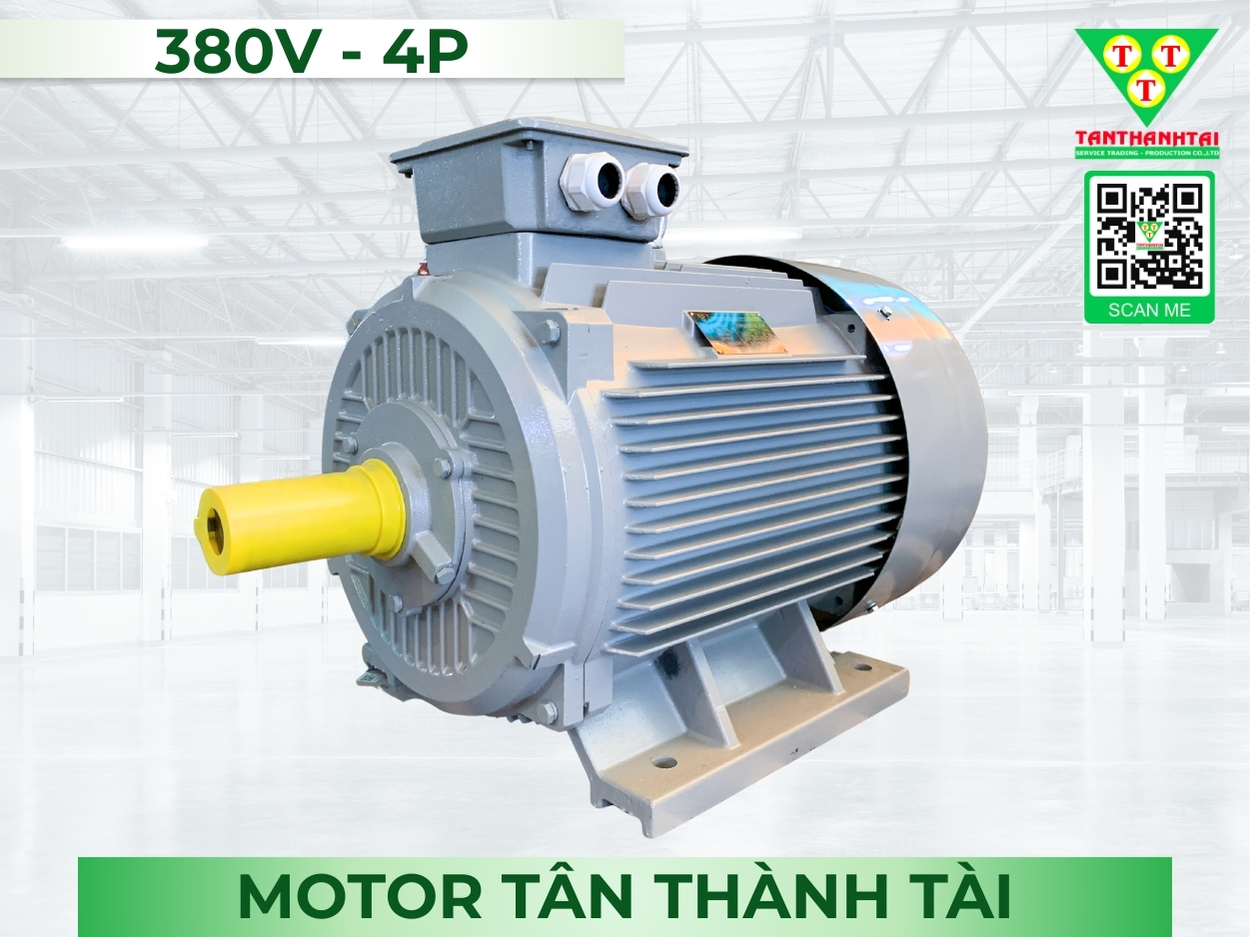 Motor điện 75kW - 100HP (4P)
