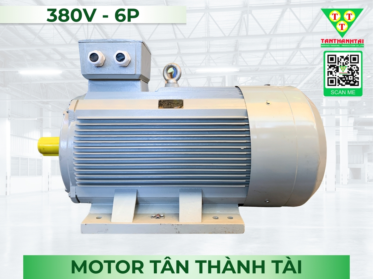 Motor điện 75kW - 100HP (6P)