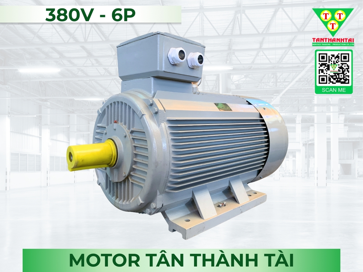 Motor điện 75kW - 100HP (6P)
