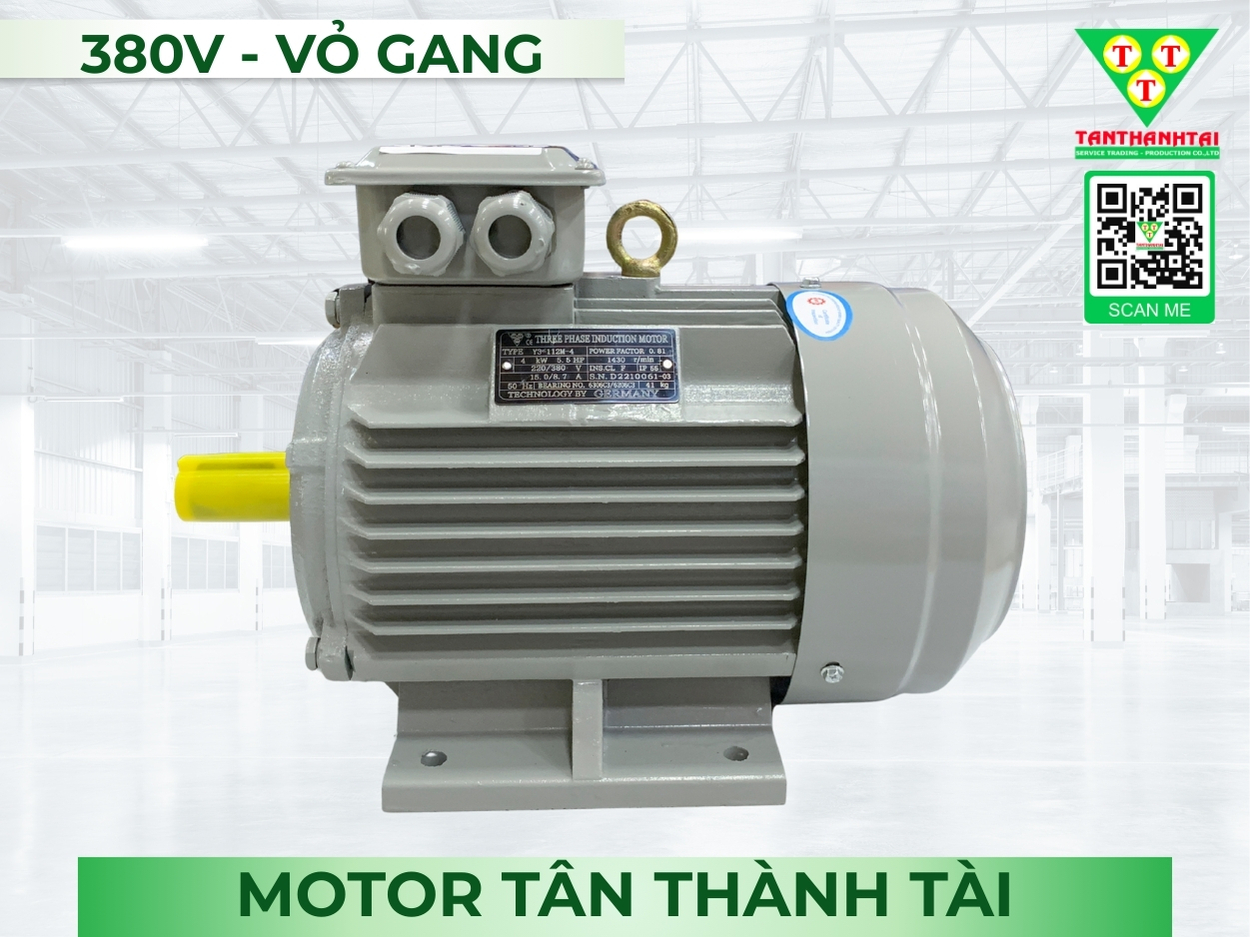 Motor điện 315kW - 420HP (4P)