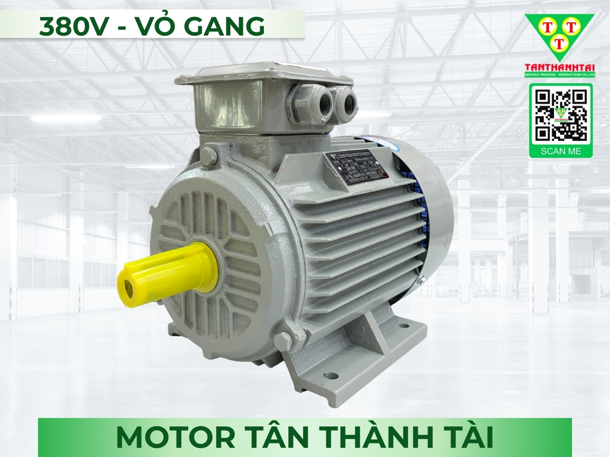 Motor điện 315kW - 420HP (4P)