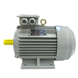 Động cơ motor điện 3 pha