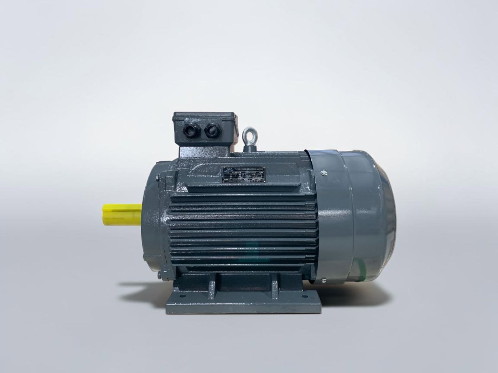 MOTOR ĐIỆN 3 PHA 30HP – 22kW